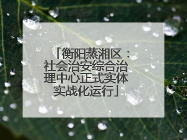 衡阳蒸湘区：社会治安综合治理中心正式实体实战化运行