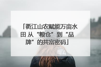 衢江山农赋能万亩水田 从“粮仓”到“品牌”的共富密码