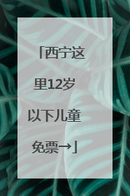 西宁这里12岁以下儿童免票→