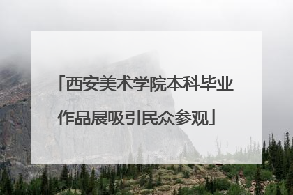 西安美术学院本科毕业作品展吸引民众参观