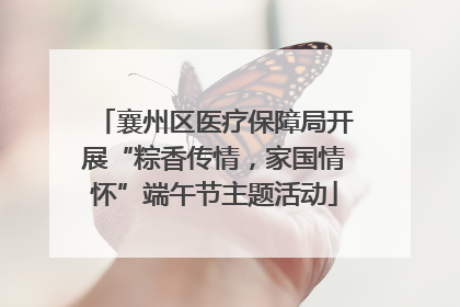 襄州区医疗保障局开展“粽香传情，家国情怀”端午节主题活动