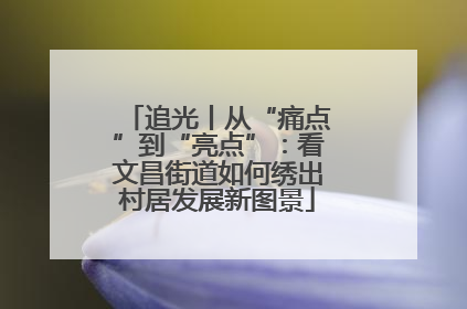 追光丨从“痛点”到“亮点”：看文昌街道如何绣出村居发展新图景