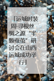 运城时装周·寻根丝绸之源“半颗蚕茧”研讨会在山西运城成功举行
