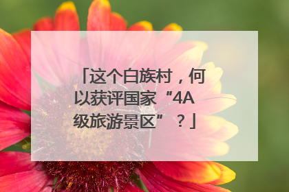 这个白族村，何以获评国家“4A级旅游景区”？