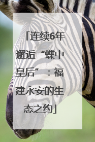 连续6年邂逅“蝶中皇后”：福建永安的生态之约