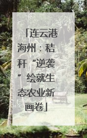 连云港海州：秸秆“逆袭”绘就生态农业新画卷