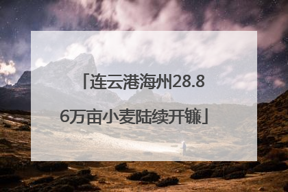 连云港海州28.86万亩小麦陆续开镰