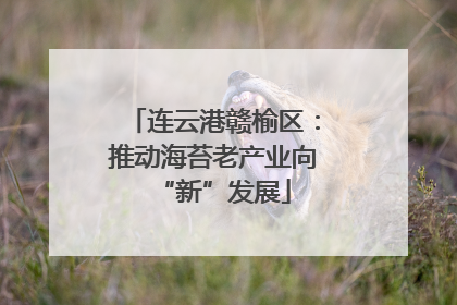 连云港赣榆区：推动海苔老产业向“新”发展