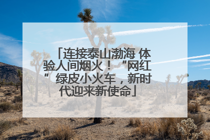 连接泰山渤海 体验人间烟火！“网红”绿皮小火车，新时代迎来新使命
