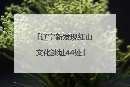 辽宁新发现红山文化遗址44处
