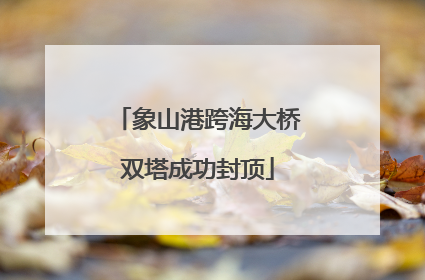 象山港跨海大桥双塔成功封顶