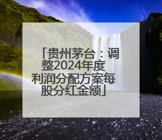 贵州茅台：调整2024年度利润分配方案每股分红金额