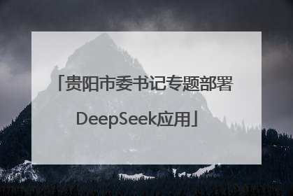 贵阳市委书记专题部署DeepSeek应用