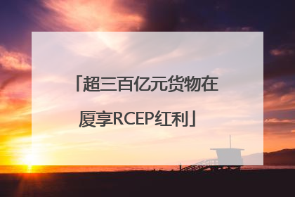 超三百亿元货物在厦享RCEP红利