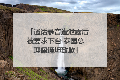 通话录音遭泄露后被要求下台 泰国总理佩通坦致歉