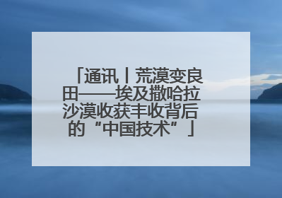 通讯丨荒漠变良田——埃及撒哈拉沙漠收获丰收背后的“中国技术”