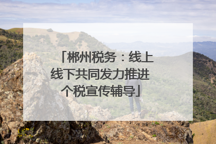 郴州税务：线上线下共同发力推进个税宣传辅导