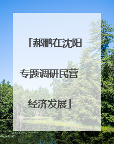 郝鹏在沈阳专题调研民营经济发展