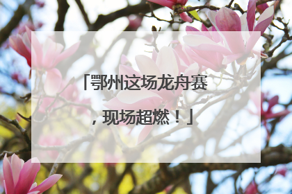 鄂州这场龙舟赛，现场超燃！
