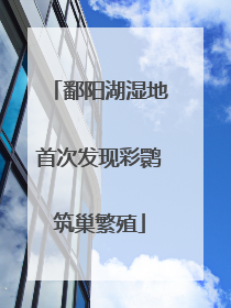 鄱阳湖湿地首次发现彩鹮筑巢繁殖