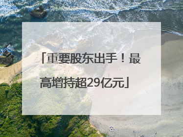 重要股东出手！最高增持超29亿元