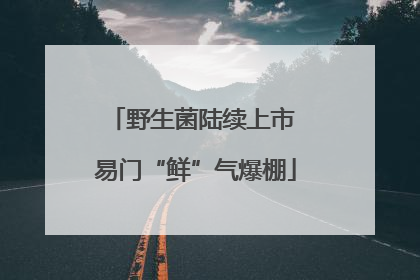 野生菌陆续上市 易门“鲜”气爆棚