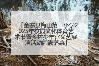 金寨县梅山第一小学2025年校园文化体育艺术节暨乡村少年宫文艺展演活动圆满落幕