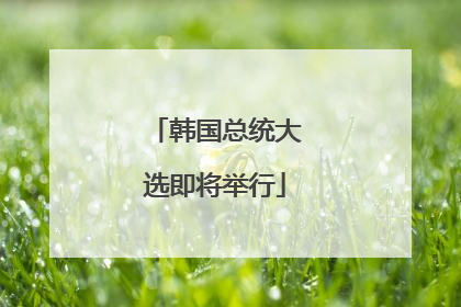 韩国总统大选即将举行