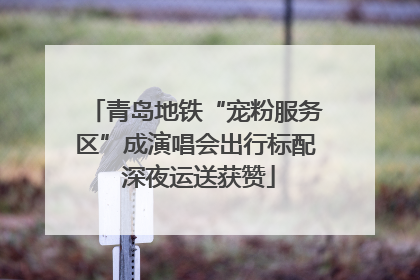 青岛地铁“宠粉服务区”成演唱会出行标配 深夜运送获赞