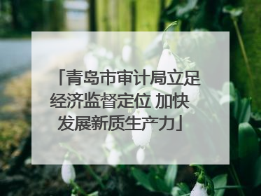 青岛市审计局立足经济监督定位 加快发展新质生产力