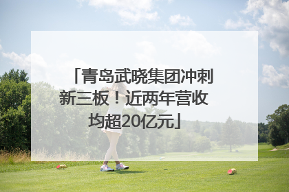 青岛武晓集团冲刺新三板！近两年营收均超20亿元