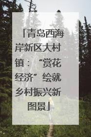 青岛西海岸新区大村镇：“赏花经济”绘就乡村振兴新图景