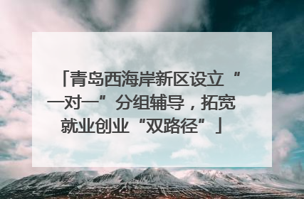 青岛西海岸新区设立“一对一”分组辅导，拓宽就业创业“双路径”