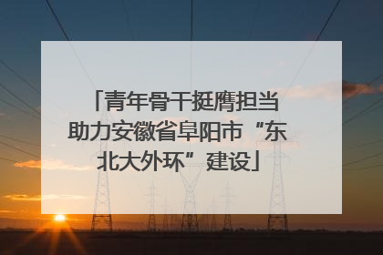 青年骨干挺膺担当 助力安徽省阜阳市“东北大外环”建设