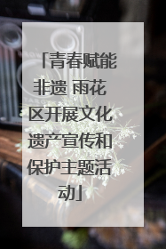 青春赋能非遗 雨花区开展文化遗产宣传和保护主题活动
