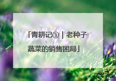 青耕记③｜老种子蔬菜的销售困局