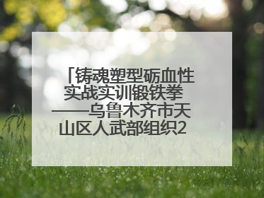 铸魂塑型砺血性 实战实训锻铁拳——乌鲁木齐市天山区人武部组织2025年度民兵集中轮训