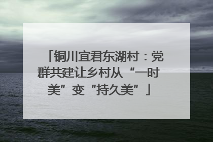 铜川宜君东湖村：党群共建让乡村从“一时美”变“持久美”