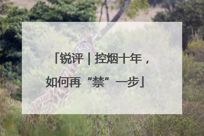 锐评｜控烟十年，如何再“禁”一步