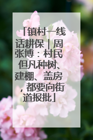 镇村一线话耕保｜周张博：村民但凡种树、建棚、盖房，都要向街道报批