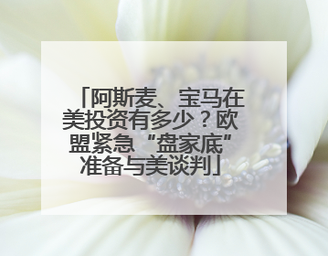 阿斯麦、宝马在美投资有多少？欧盟紧急“盘家底”准备与美谈判