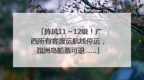 阵风11～12级！广西所有客渡运航线停运，涠洲岛船票可退……