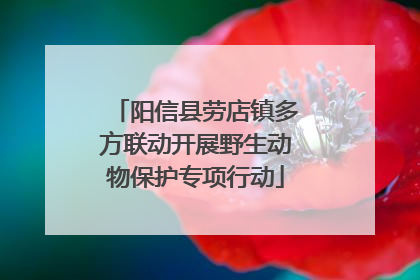 阳信县劳店镇多方联动开展野生动物保护专项行动