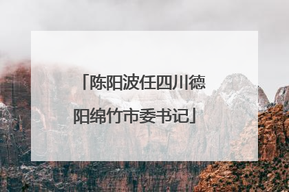 陈阳波任四川德阳绵竹市委书记