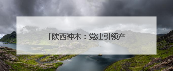 陕西神木：党建引领产业兴 乡村振兴谱新篇