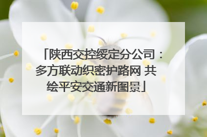 陕西交控绥定分公司：多方联动织密护路网 共绘平安交通新图景