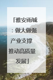 雅安雨城：做大做强产业支撑 推动高质量发展