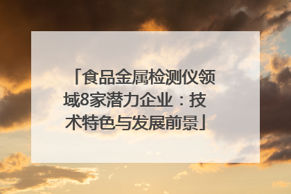 食品金属检测仪领域8家潜力企业：技术特色与发展前景