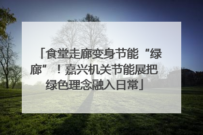 食堂走廊变身节能“绿廊”！嘉兴机关节能展把绿色理念融入日常