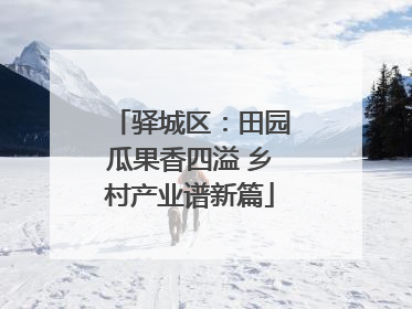 驿城区：田园瓜果香四溢 乡村产业谱新篇